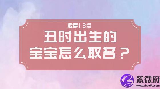 丑时出生的宝宝怎么取名