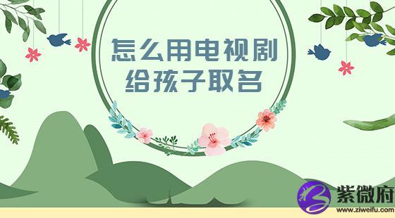 怎么用电视剧给孩子取名