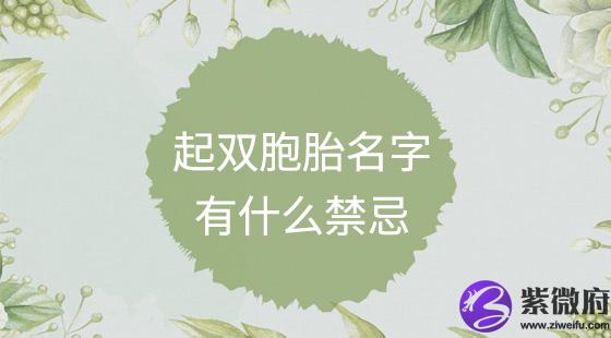 起双胞胎名字有什么禁忌？