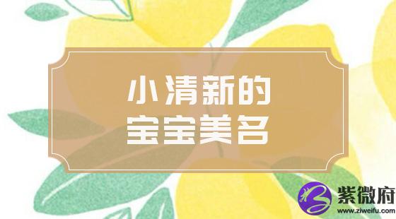 小清新的宝宝美名