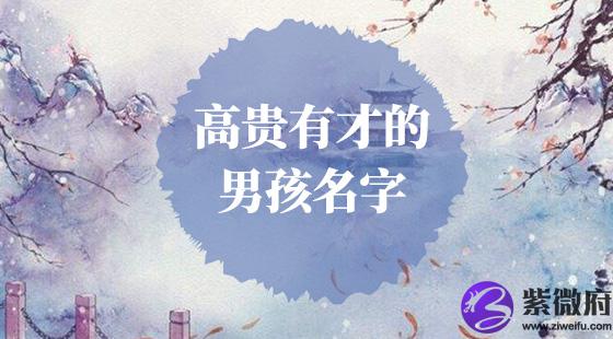 高贵有才的男孩名字