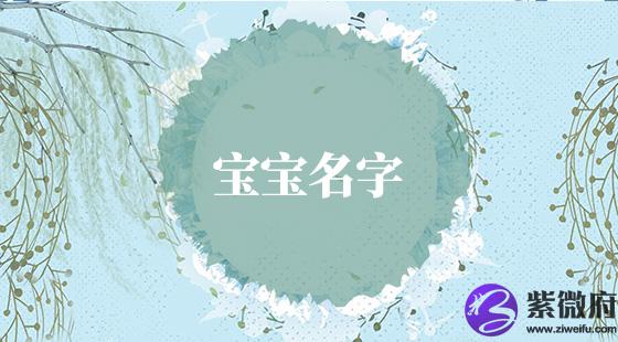 文雅的宝宝名字