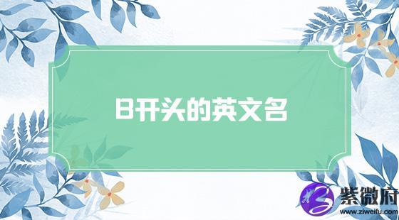 b开头的英文起名