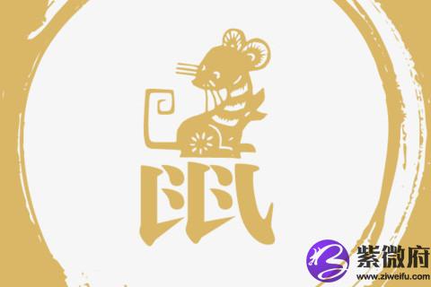 鼠年男孩名字首选乳名 2020鼠宝宝男孩的小名叫什么好听