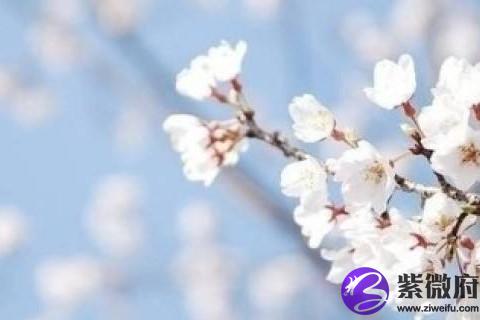生辰八字取名字 起名字的有哪些讲究
