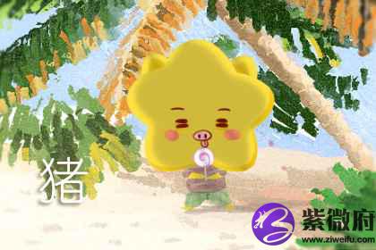 属猪小名大全有哪些推荐(图文)