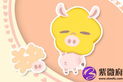 属猪小名大全有哪些推荐(图文)
