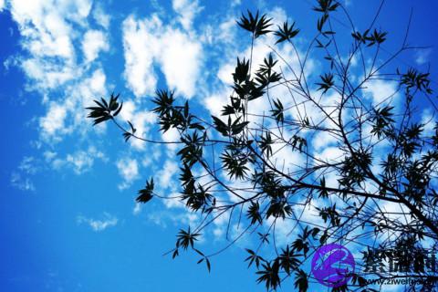 名字是不是五行缺什么补什么 宝宝如何起名字