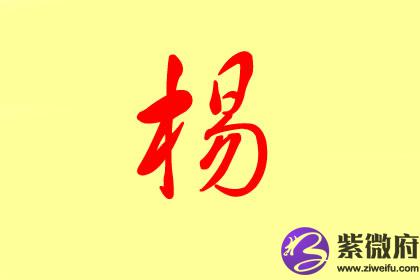 杨璐,杨娇,杨依杨丽,杨苗,杨艳,杨思,杨叶,杨卿杨双,杨淇,杨紫,杨欣