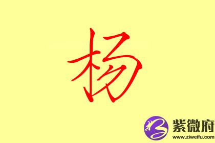 杨莹,杨雯,杨姗杨意,杨予,杨艺,杨昕,杨慧,杨霄杨双,杨淇,杨紫,杨欣