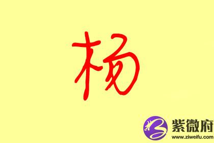 杨字起名女孩女孩名字怎么起好