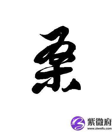 桑姓历史名人