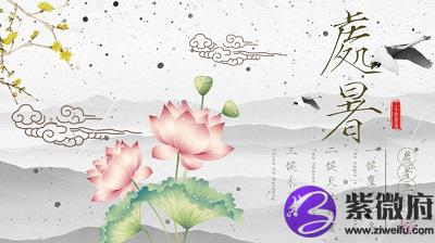 属羊的人处暑节气出生好不好，命运好不好？(图文)