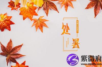 属羊的人处暑节气出生好不好，命运好不好？(图文)
