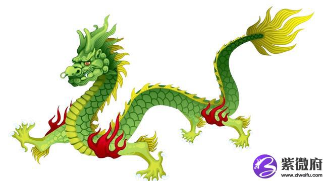 属龙后面是什么星座