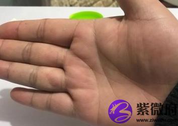 手相星座是真的吗