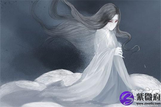 十二星座专属九尾狐-紫微府