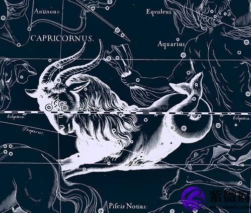 水瓶座配摩羯座