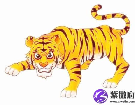属虎的年份、是多少年的