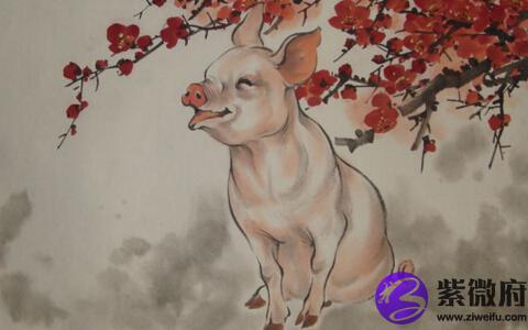 1935年属什么生肖