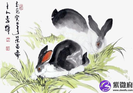 风肖是哪几个生肖有什么命运特征