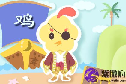 96年属鼠和93属鸡的合不合他们结婚好吗