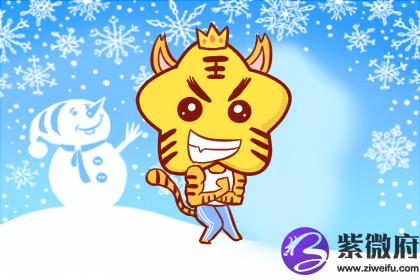 属虎人30岁后30年大运怎么样