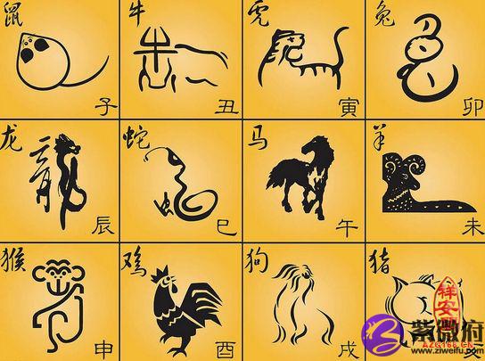 明年是什么属相年