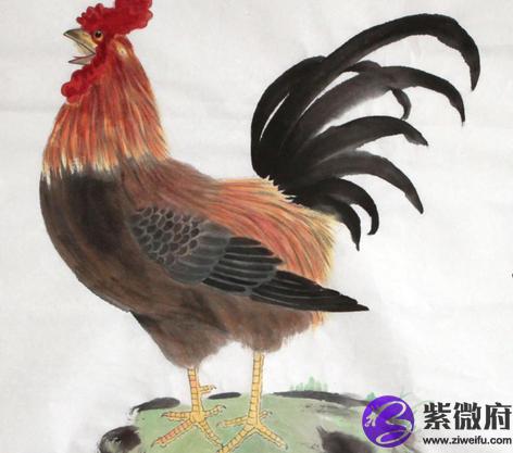 1945年属相是什么1945年出生命运