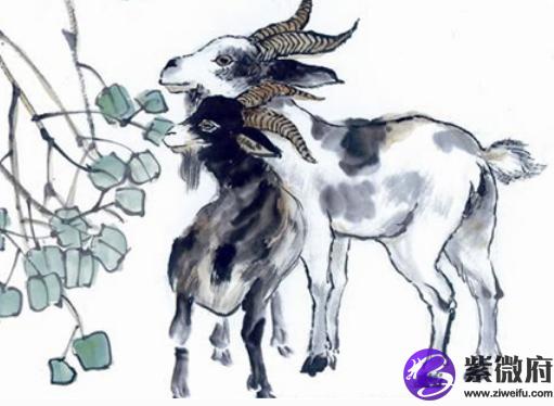 1991年属相是什么,1991年出生命运1991年属什么属相羊;十二地支为:未