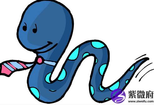 2013是什么生肖年2013是什么年2013年出生的人属蛇.