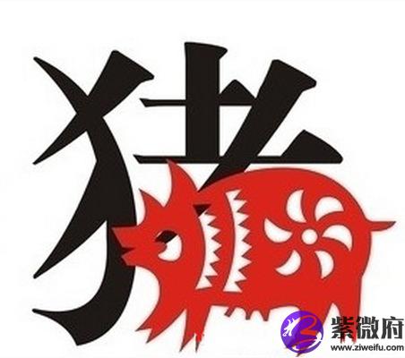 1959年属猪的五行属什么