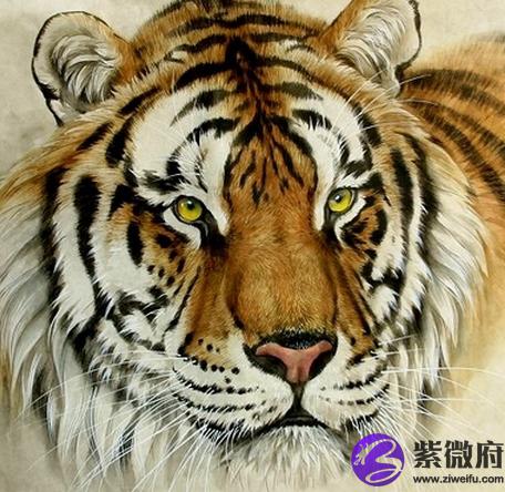 2010年属相2010年属什么生肖
