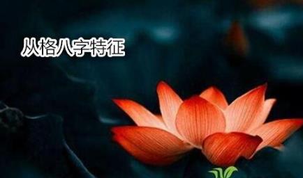 从格生辰特征