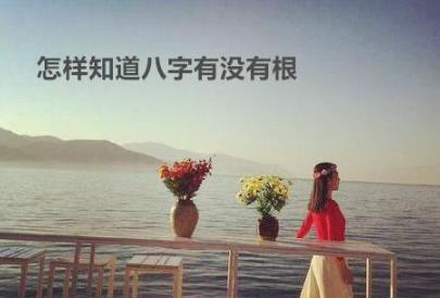 怎样知道生辰有没有根