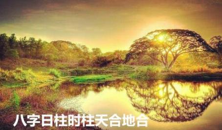 生辰日柱时柱天合地合