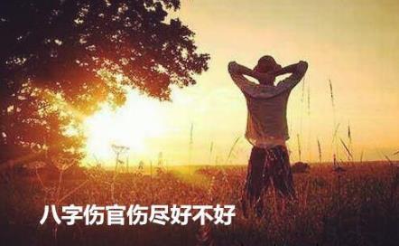 生辰伤官伤尽好不好
