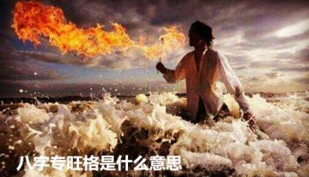 生辰专旺格是什么意思