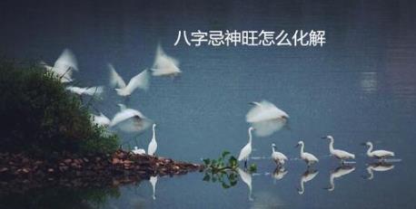 生辰忌神旺怎么化解