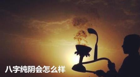 生辰纯阴会怎么样