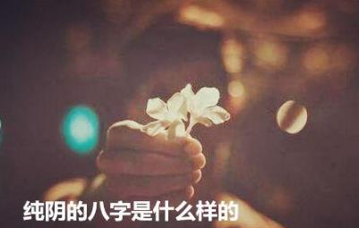 纯阴的生辰是什么样的