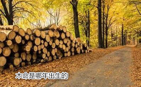 木命是哪年出生的