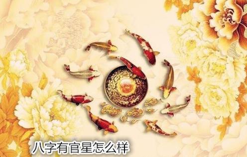 生辰有官星怎么样