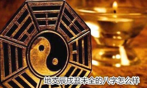 地支辰戌丑未全的生辰怎么样