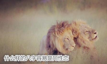 什么样的生辰容易是同性恋