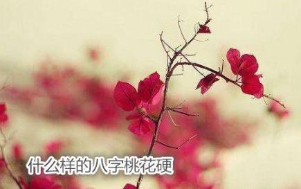 什么样的生辰桃花硬