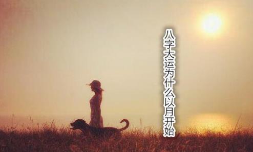 生辰大运为什么以月开始
