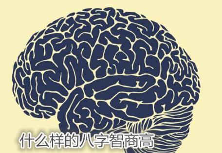 什么样的生辰智商高