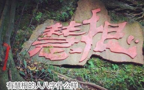 有慧根的人生辰什么样