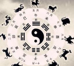 要不要信生肖生辰